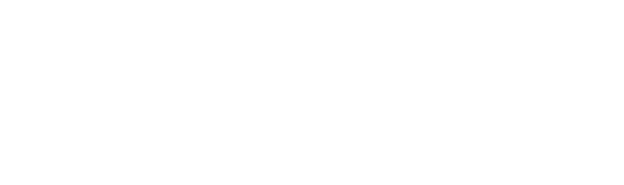 Lead with Elegance